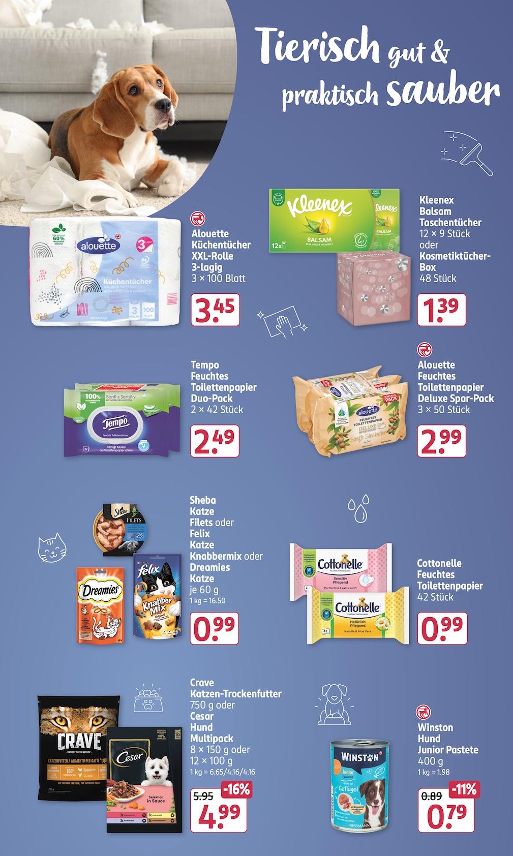 Rossmann Aktueller Prospekt ab Montag Seite 17
