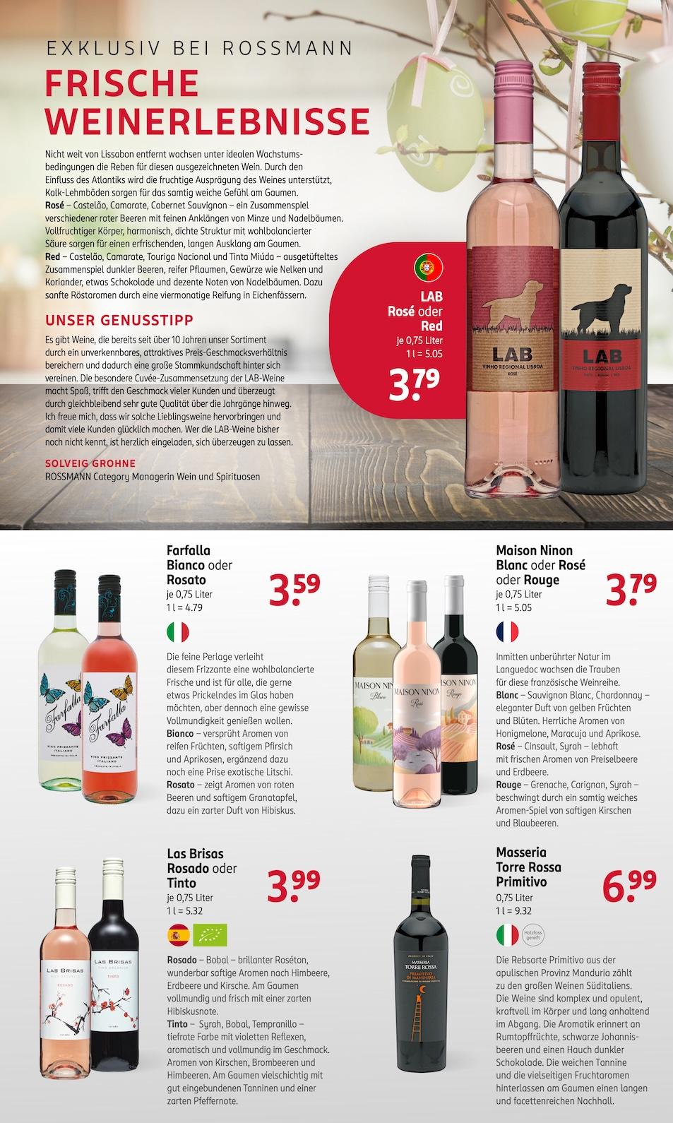 Rossmann Aktueller Prospekt ab Montag Seite 17