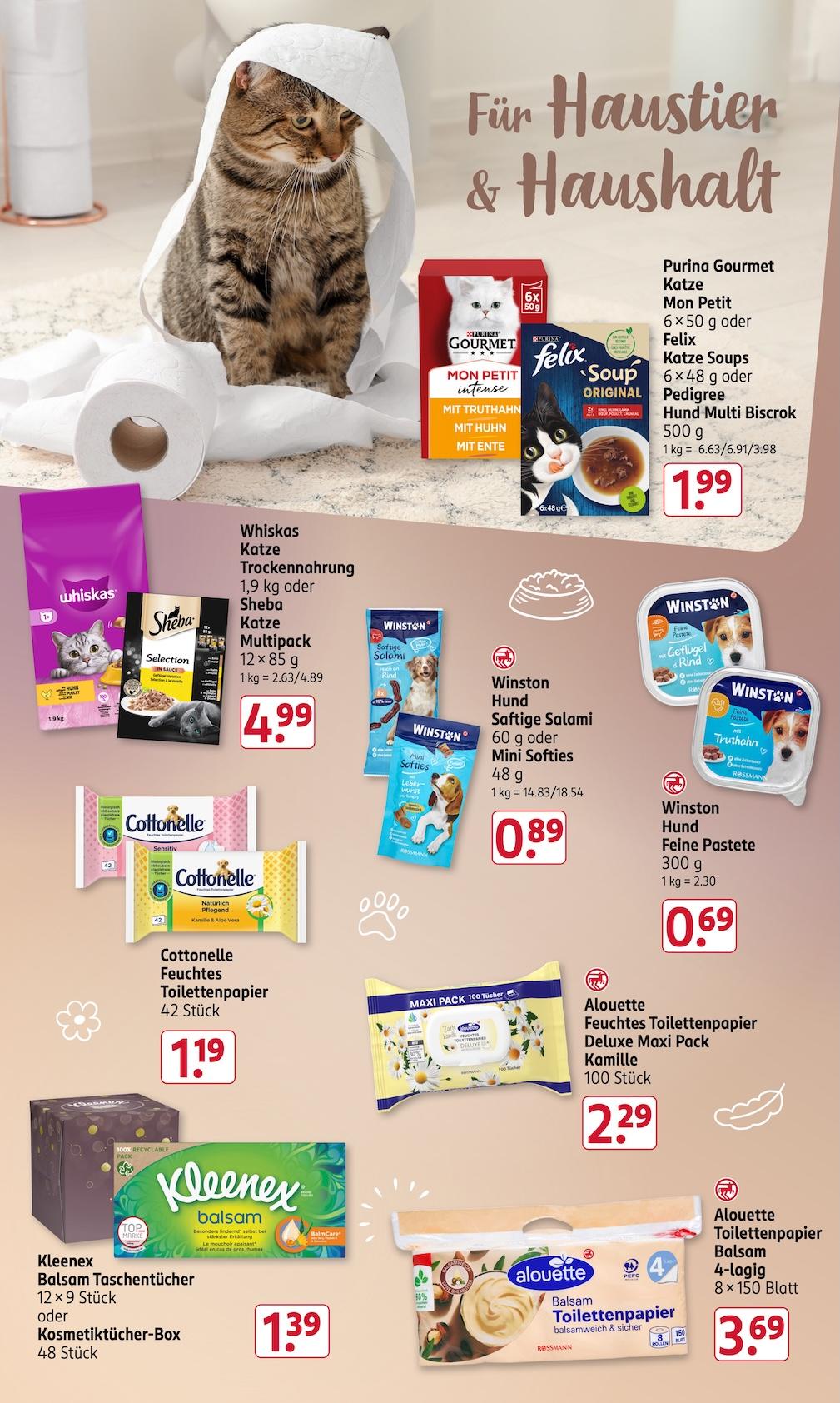 Rossmann Aktueller Prospekt ab Montag Seite 17