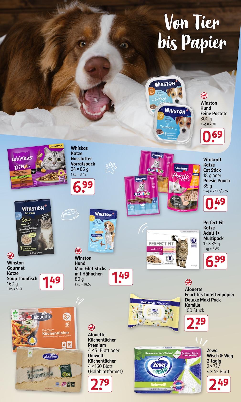 Rossmann Aktueller Prospekt ab Montag Seite 19