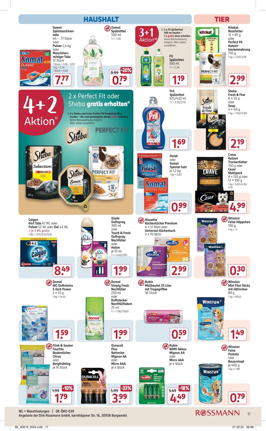 Rossmann Aktueller Prospekt ab Montag Seite 13