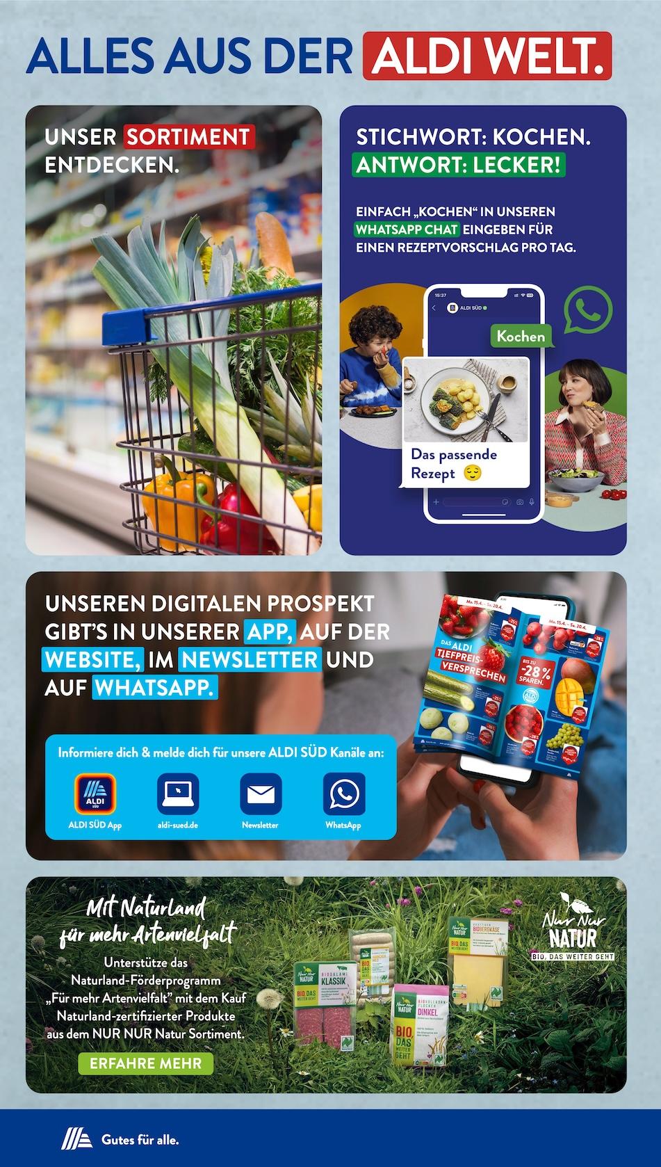 Aldi Aldi Süd Prospekt ab Montag Seite 31