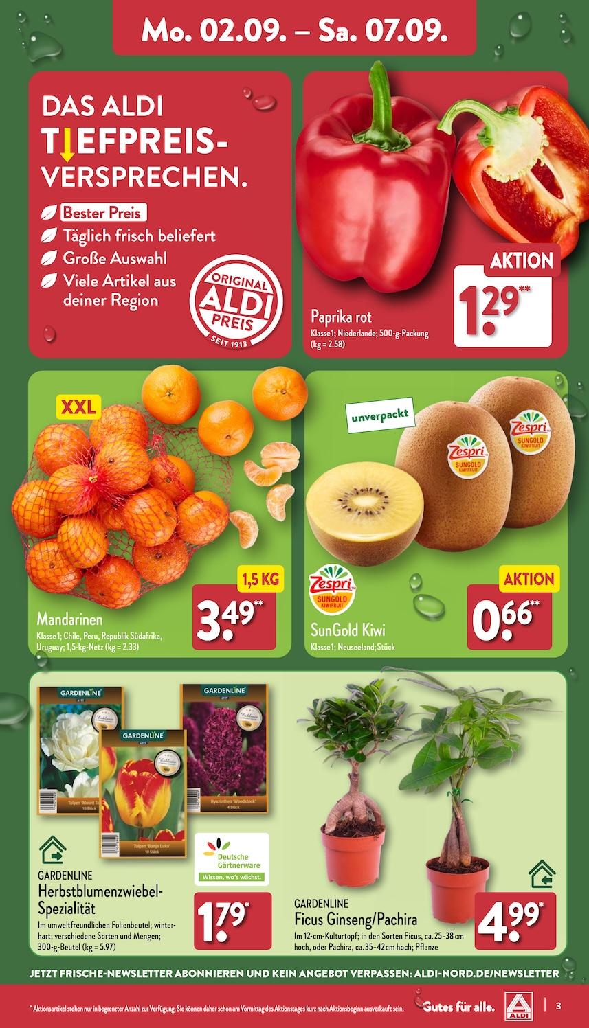 Aldi Aldi Nord Prospekt ab Montag Seite 3