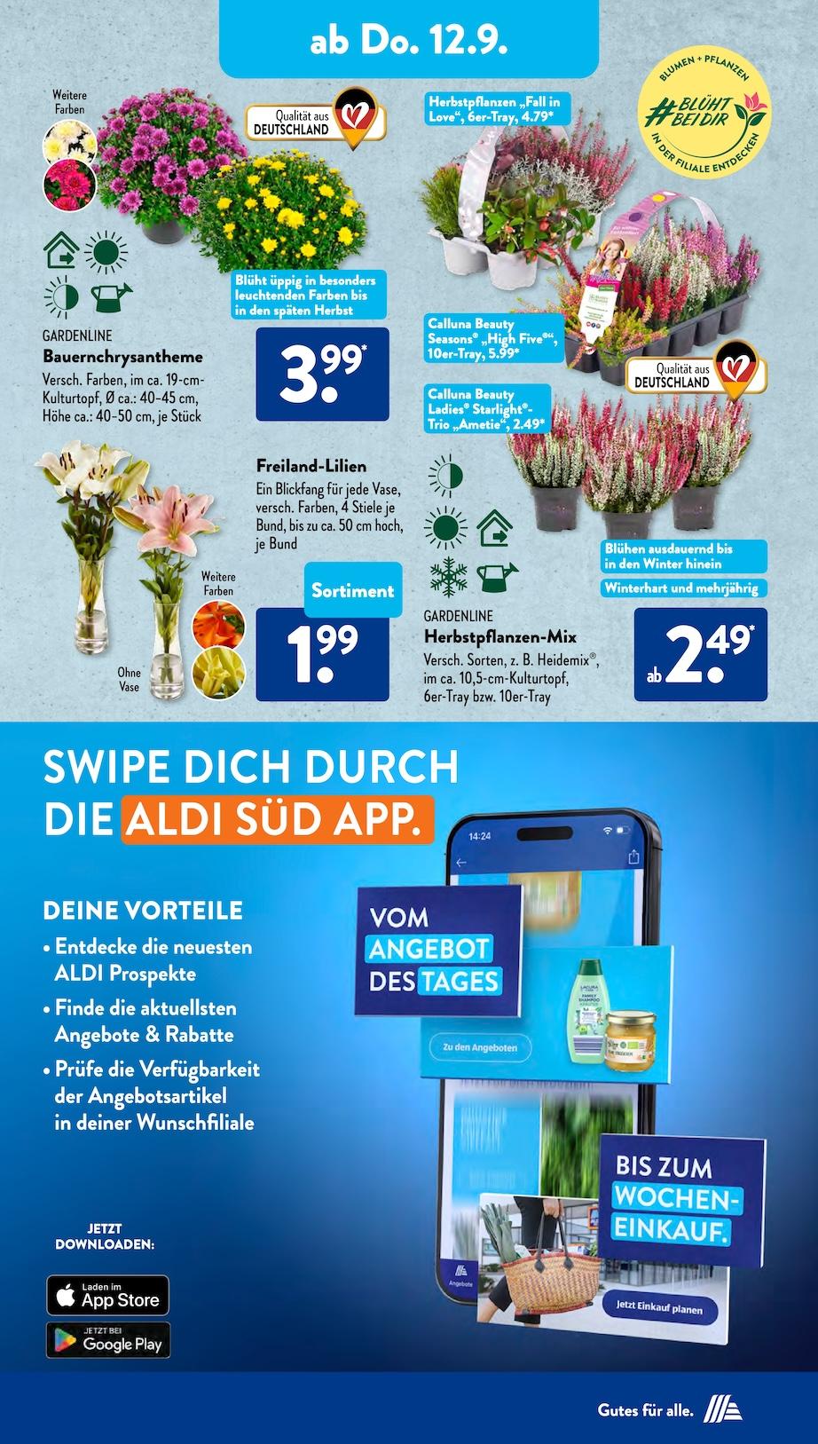 Aldi Aldi Süd Prospekt ab Montag Seite 13