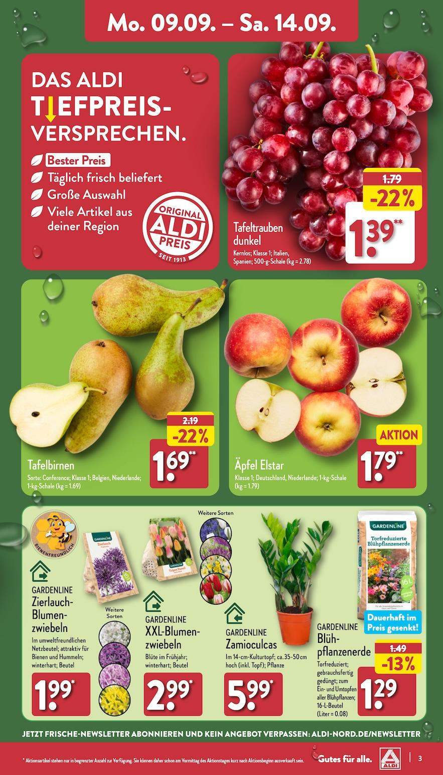 Aldi Aldi Nord Prospekt ab Montag Seite 3