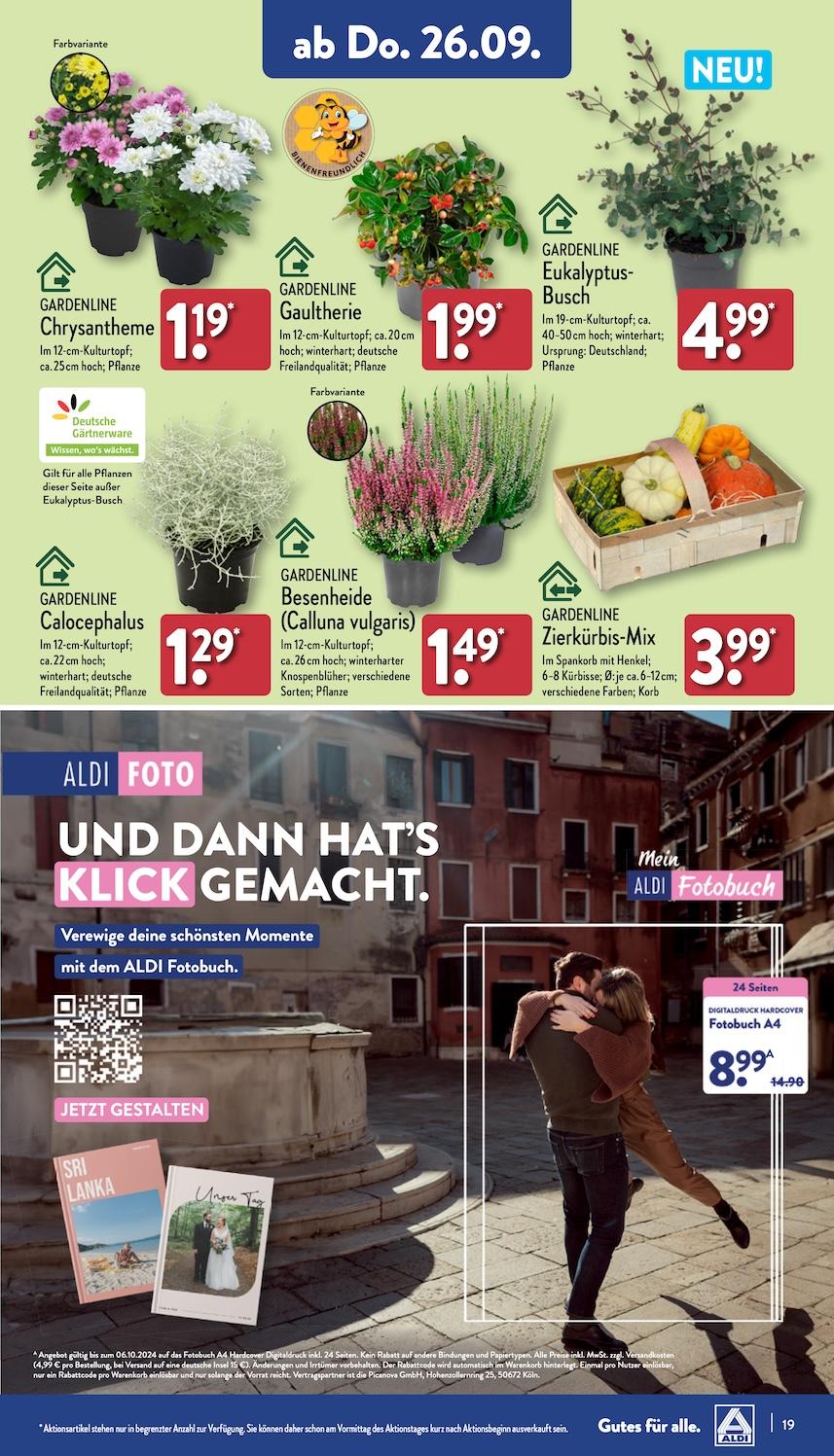 Aldi Aldi Nord Prospekt ab Montag Seite 19