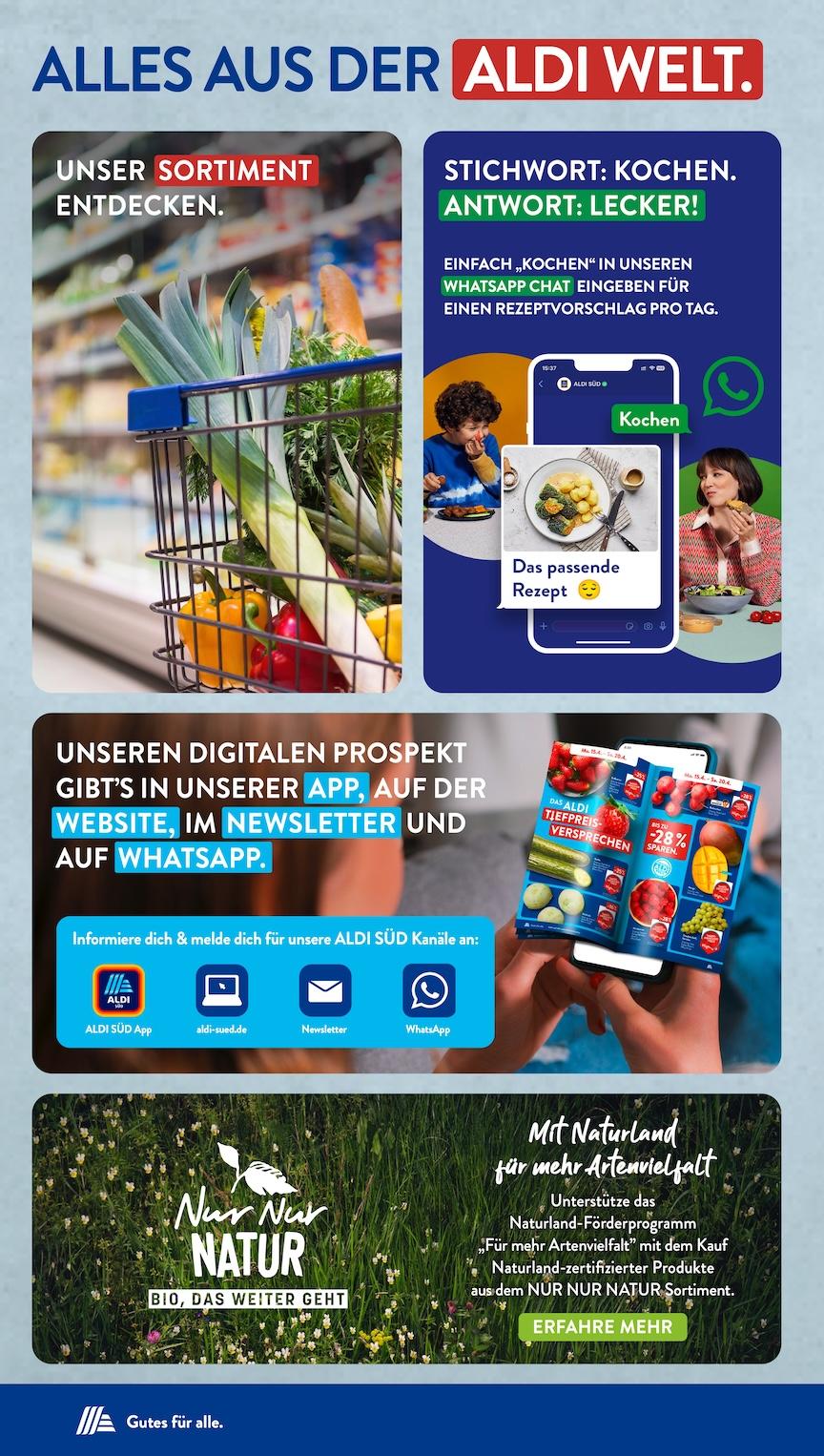 Aldi Aldi Süd Prospekt ab Montag Seite 31
