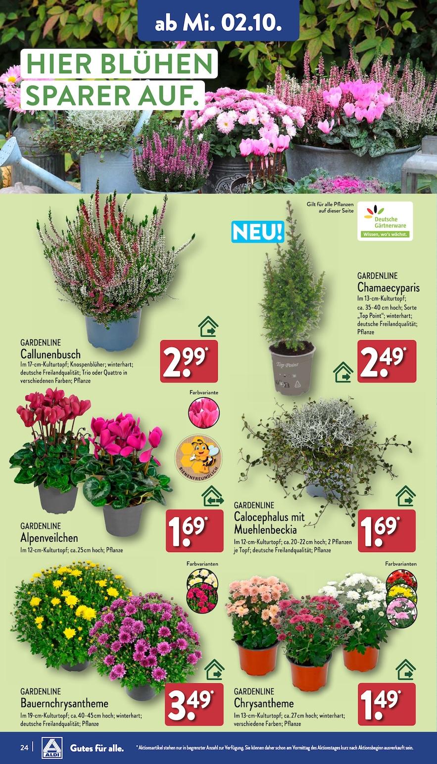 Aldi Aldi Nord Prospekt ab Montag Seite 24