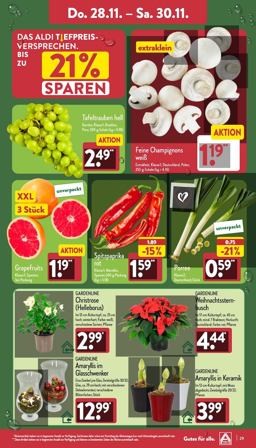 Aldi Aldi Nord Prospekt ab Montag Seite 29