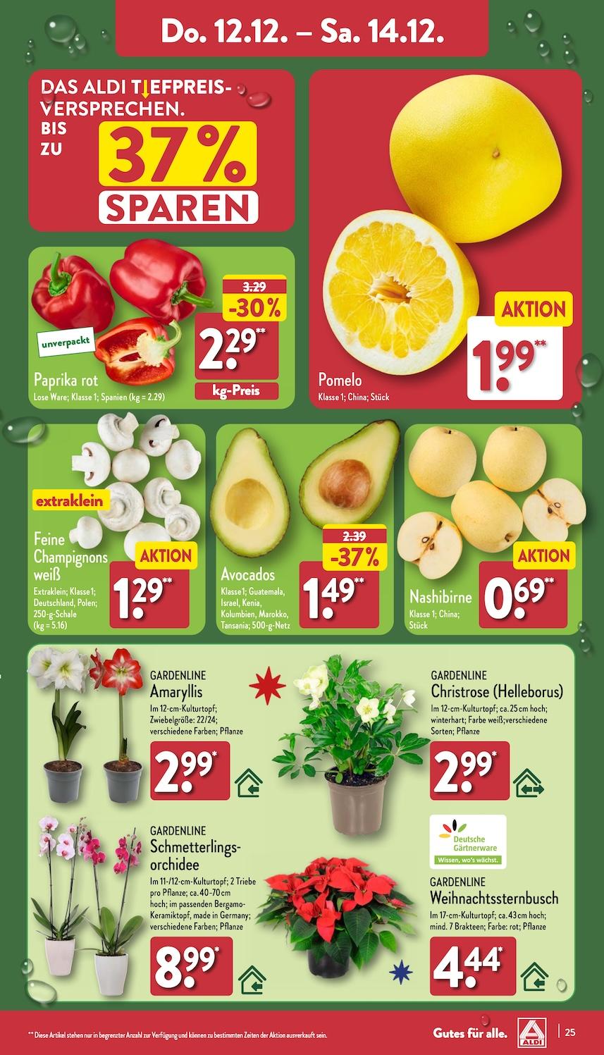 Aldi Aldi Nord Prospekt ab Montag Seite 25