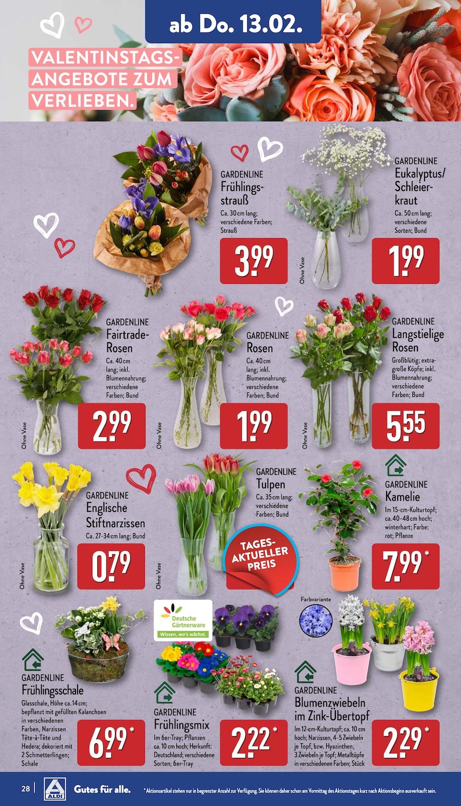 Aldi Aldi Nord Prospekt ab Montag Seite 28