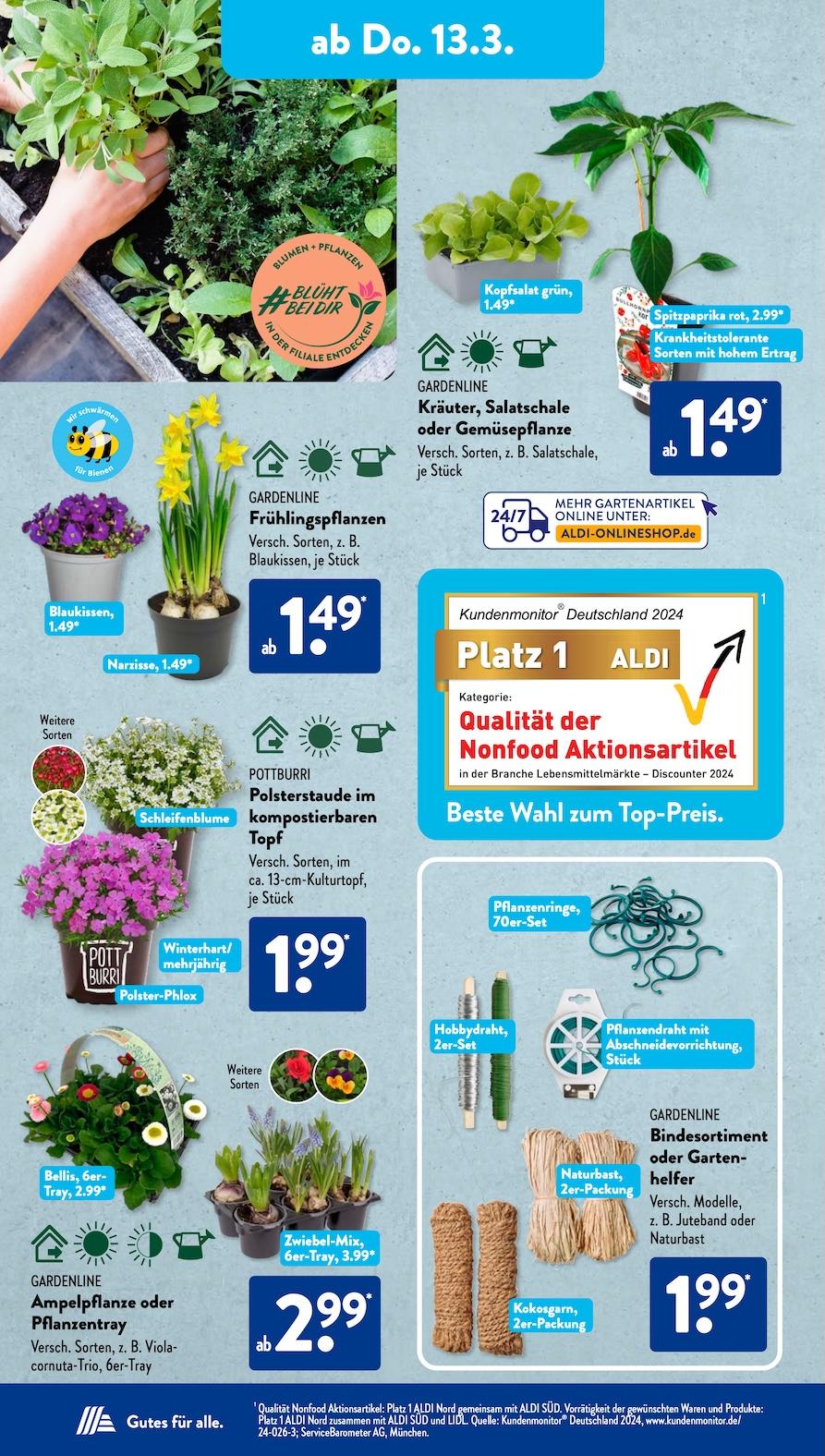 Aldi Aldi Süd Prospekt ab Montag Seite 13