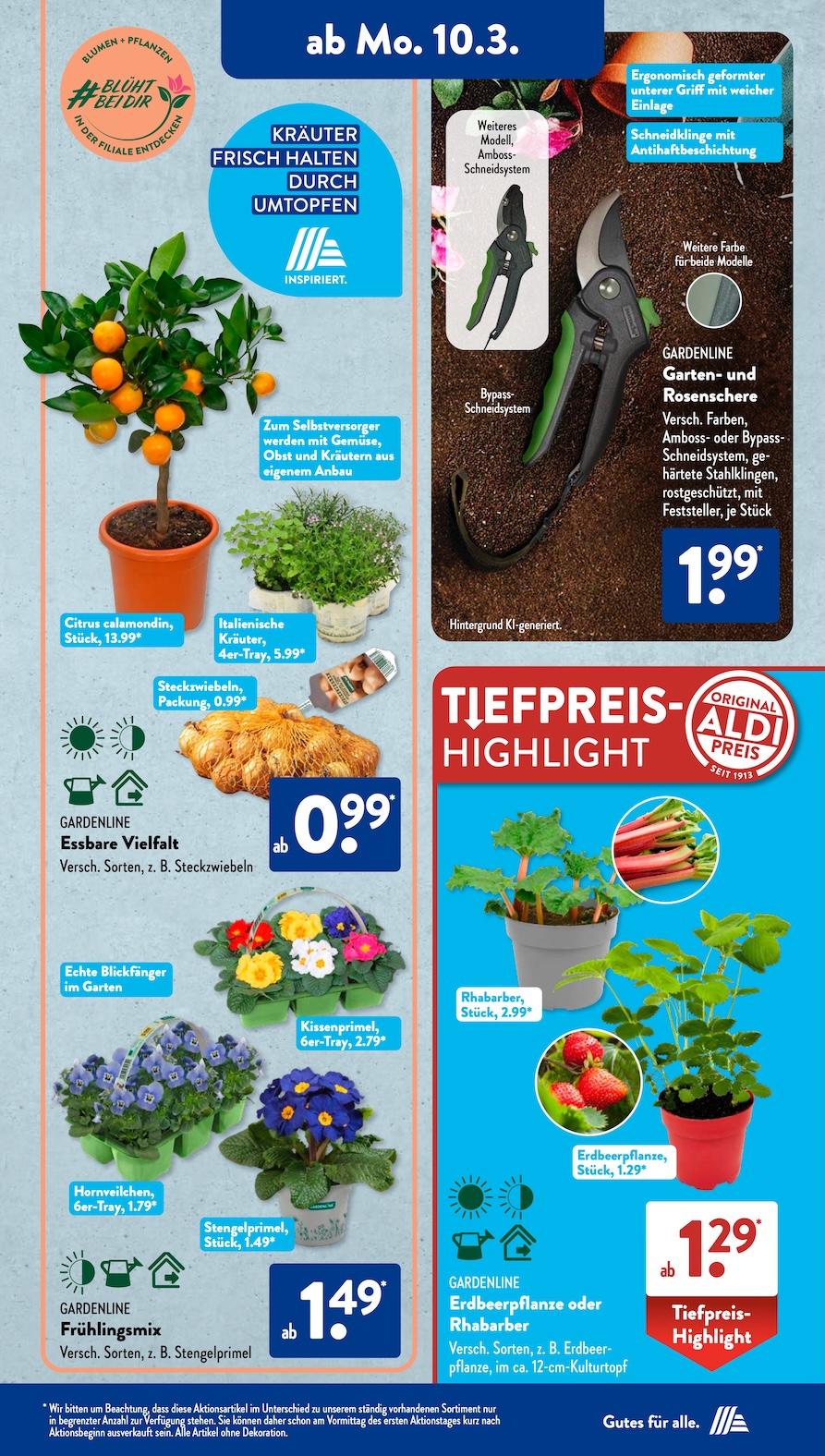 Aldi Aldi Süd Prospekt ab Montag Seite 7