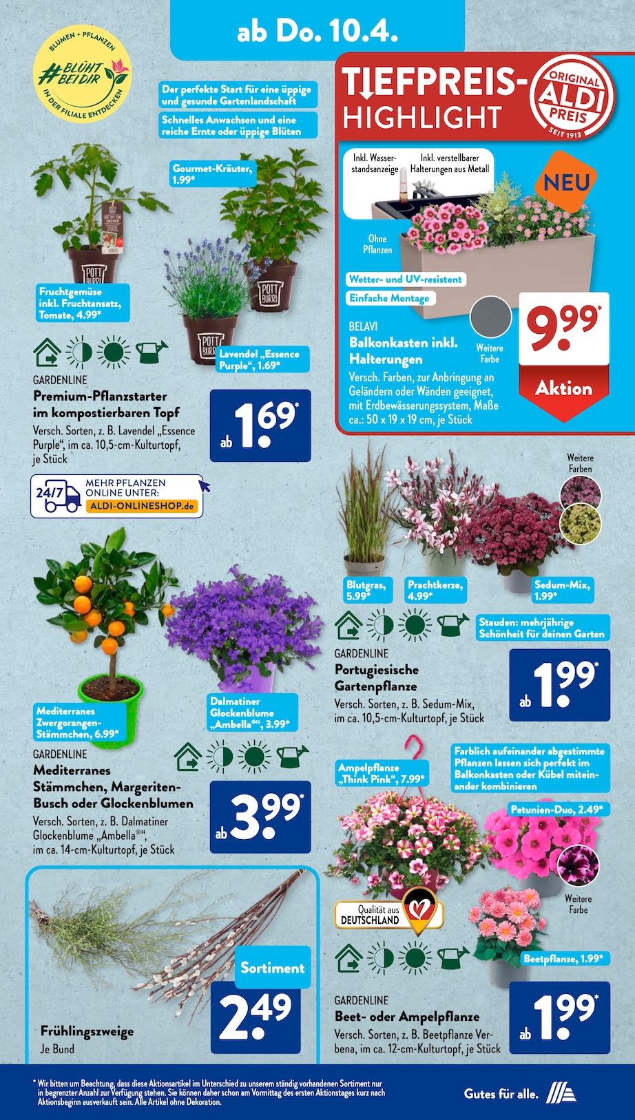 Aldi Aldi Süd Prospekt ab Montag Seite 12