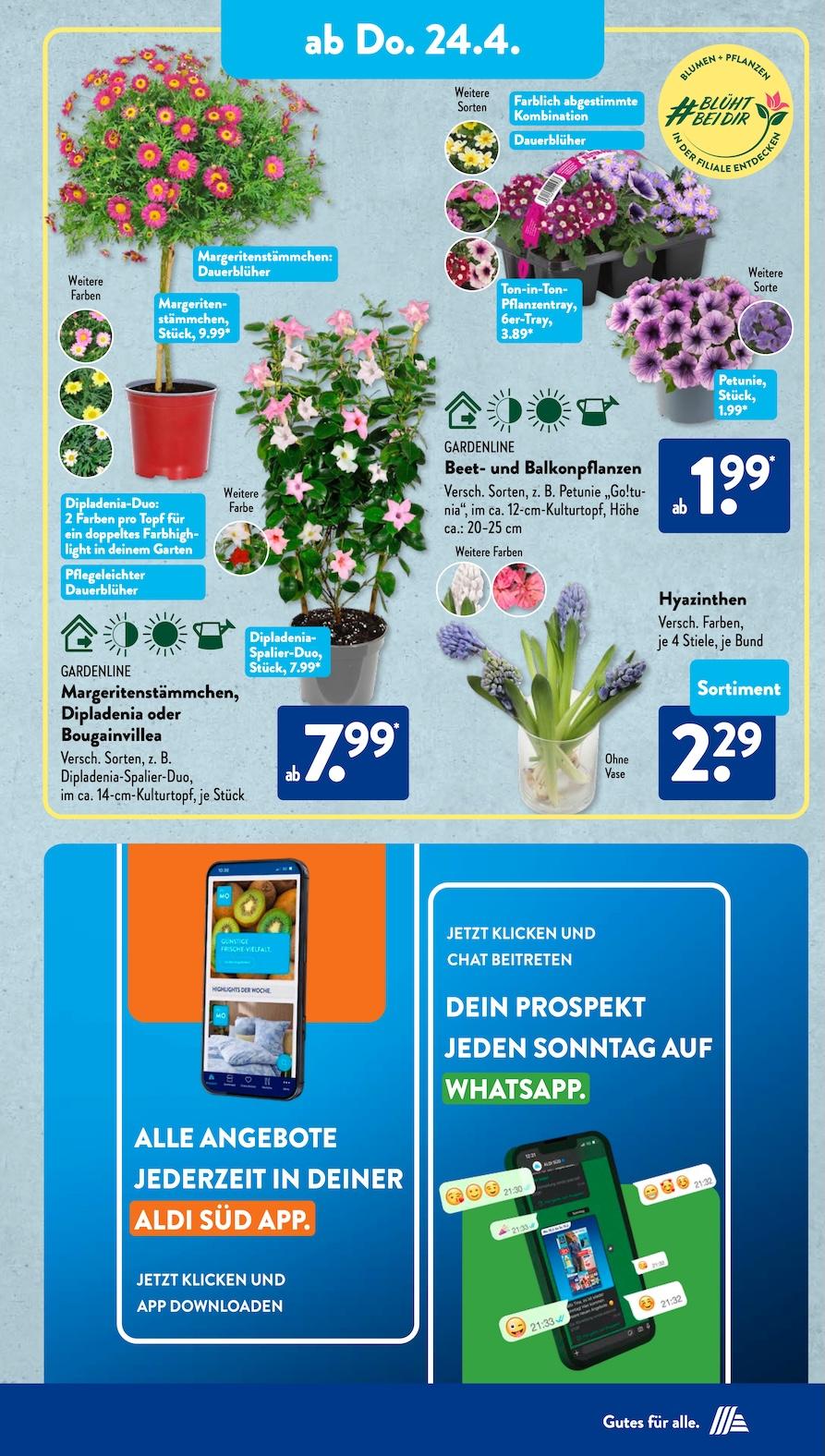 Aldi Aldi Süd Prospekt ab Dienstag Seite 17
