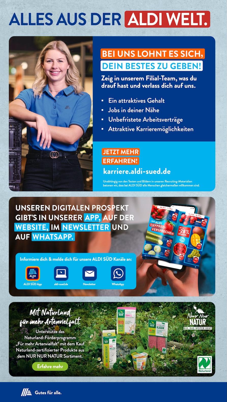 Aldi Aldi Süd Prospekt ab Dienstag Seite 37