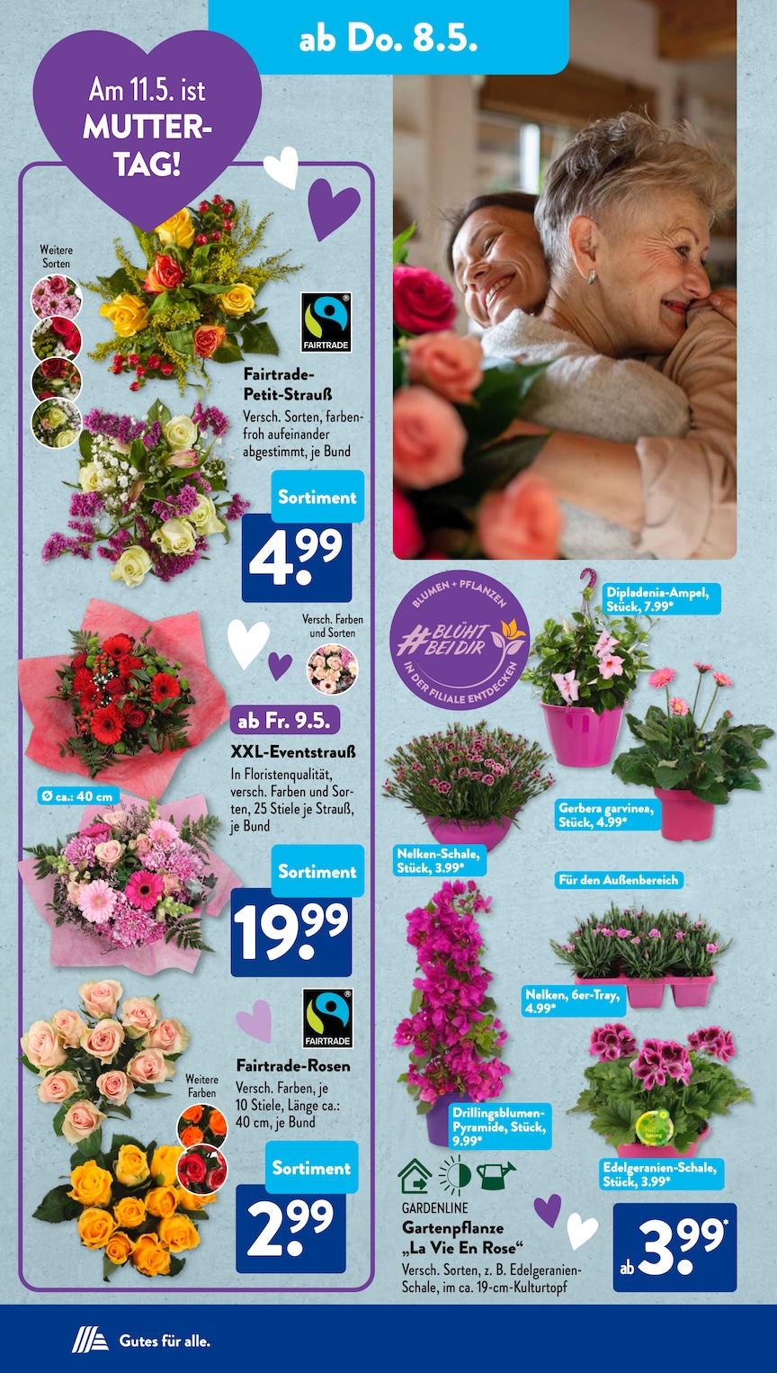Aldi Aldi Süd Prospekt ab Montag Seite 12