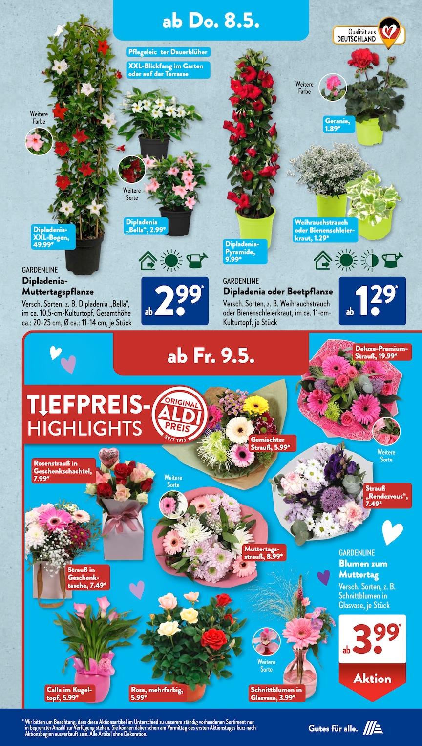 Aldi Aldi Süd Prospekt ab Montag Seite 13