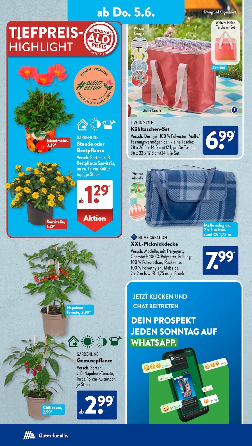 Aldi Aldi Süd Prospekt ab Montag Seite 13