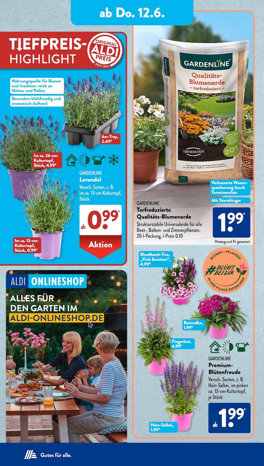 Aldi Aldi Süd Prospekt ab Dienstag Seite 10