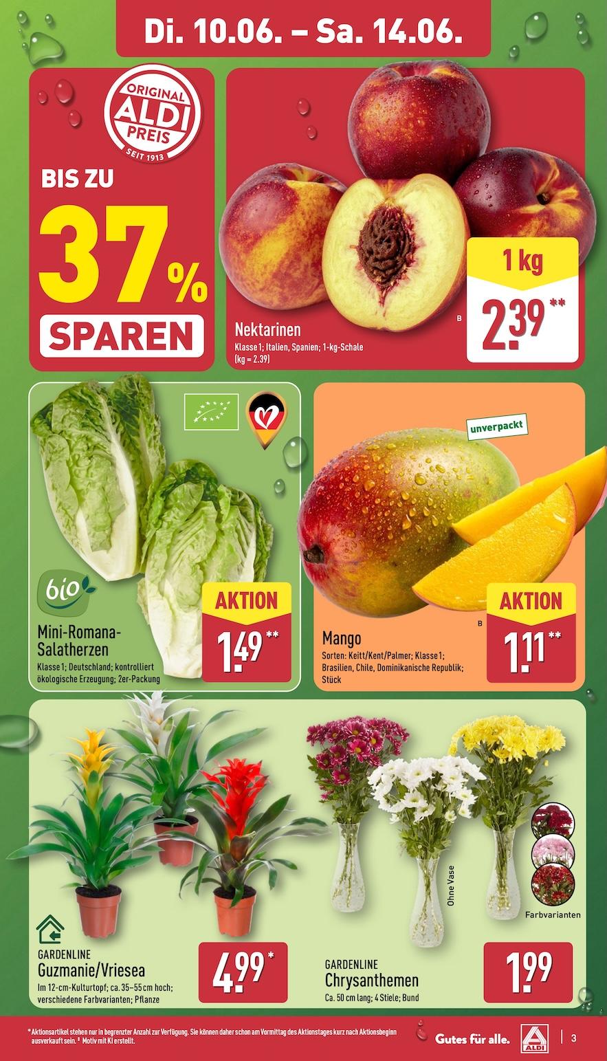 Aldi Aldi Nord Prospekt ab Dienstag Seite 3