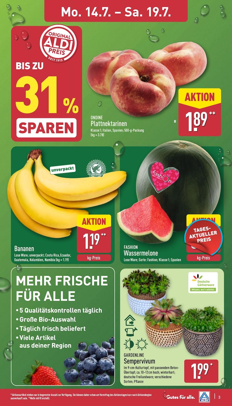 Aldi Aldi Nord Prospekt ab Montag Seite 3