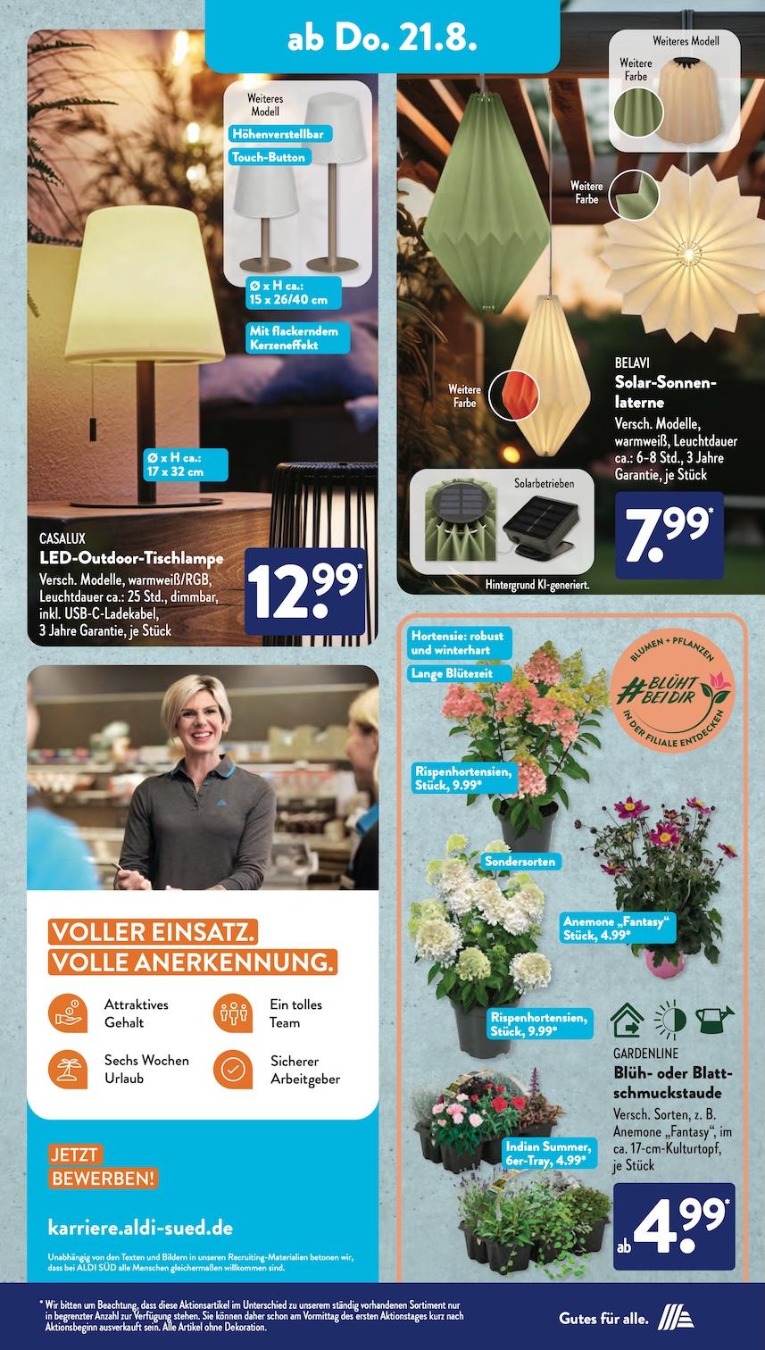 Aldi Aldi Süd Prospekt ab Montag Seite 13