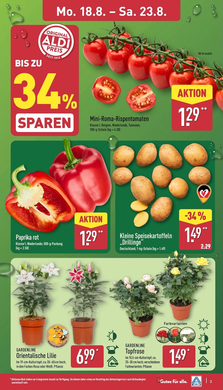 Aldi Aldi Nord Prospekt ab Montag Seite 3