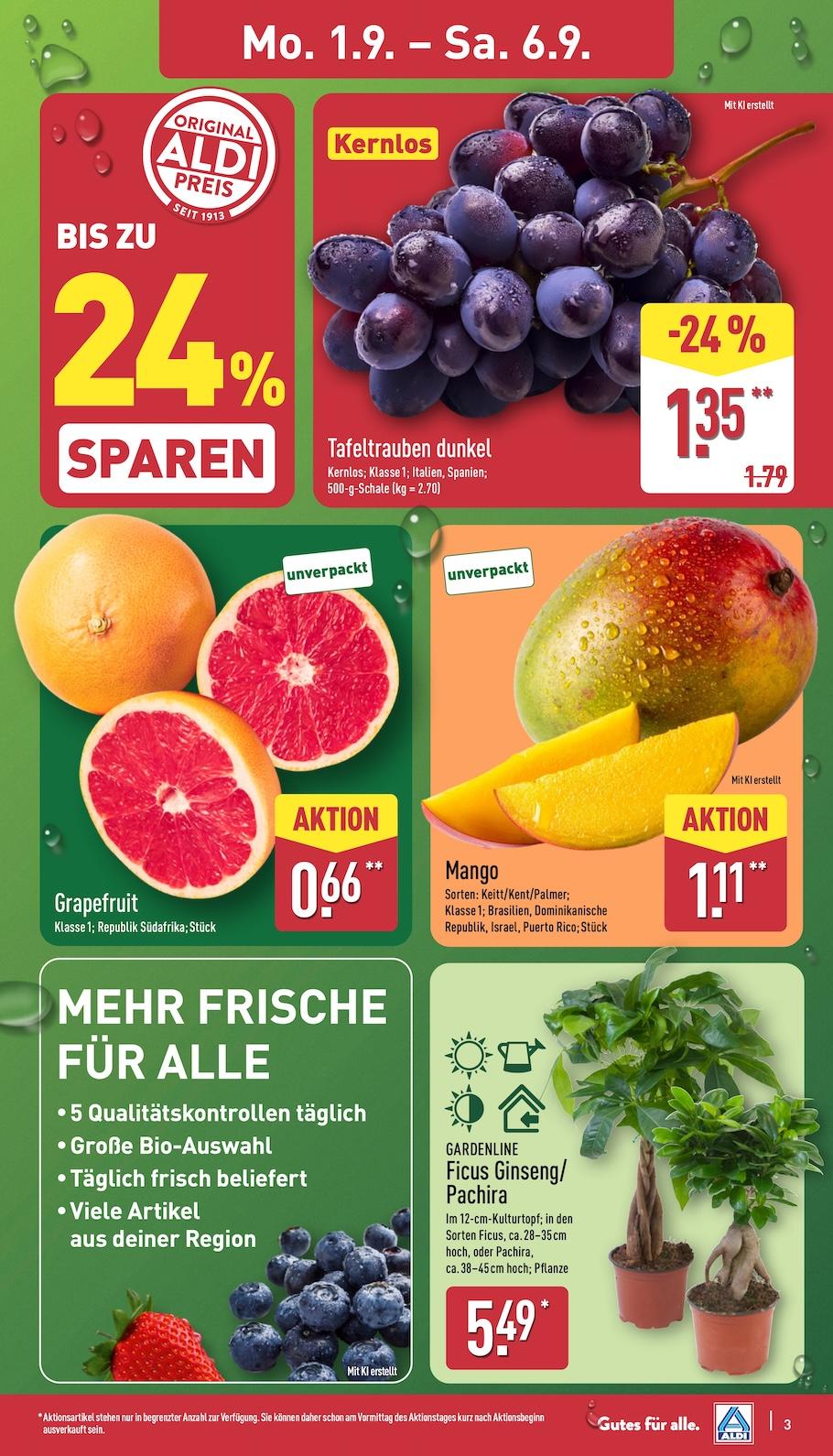 Aldi Aldi Nord Prospekt ab Montag Seite 3