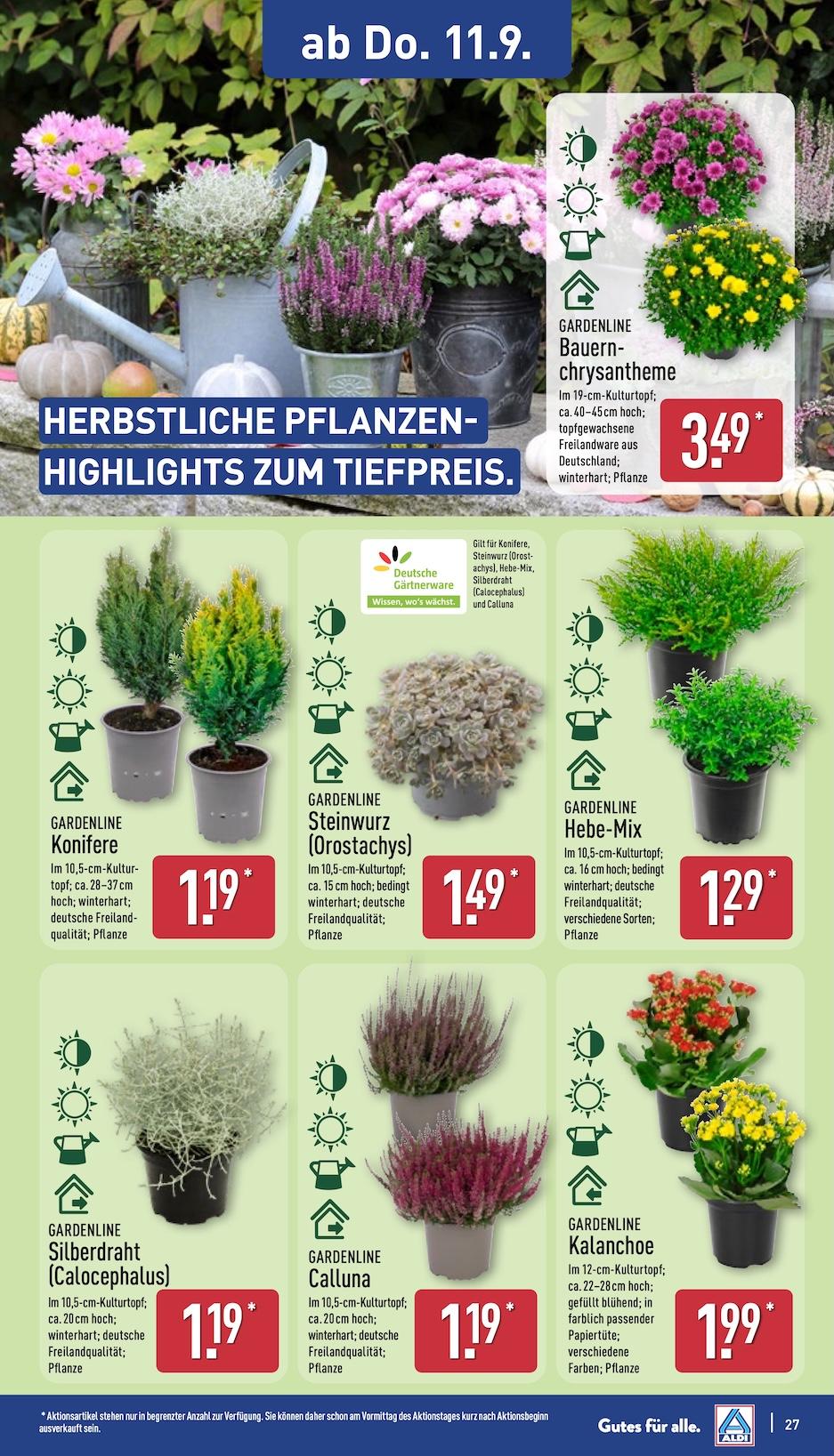 Aldi Aldi Nord Prospekt ab Montag Seite 31