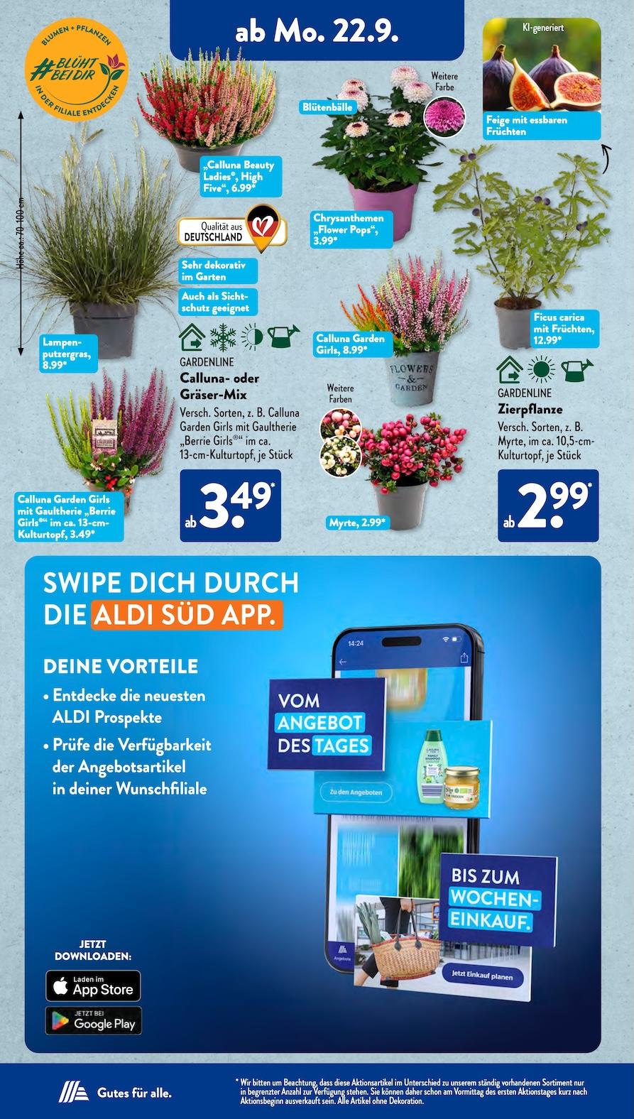 Aldi Aldi Süd Prospekt ab Montag Seite 7