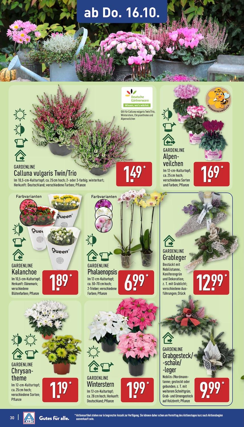 Aldi Aldi Nord Prospekt ab Montag Seite 30