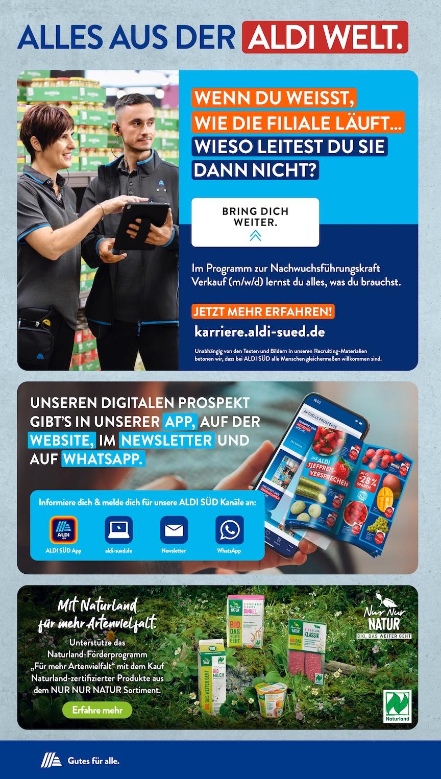 Aldi Aldi Süd Prospekt ab Montag Seite 31