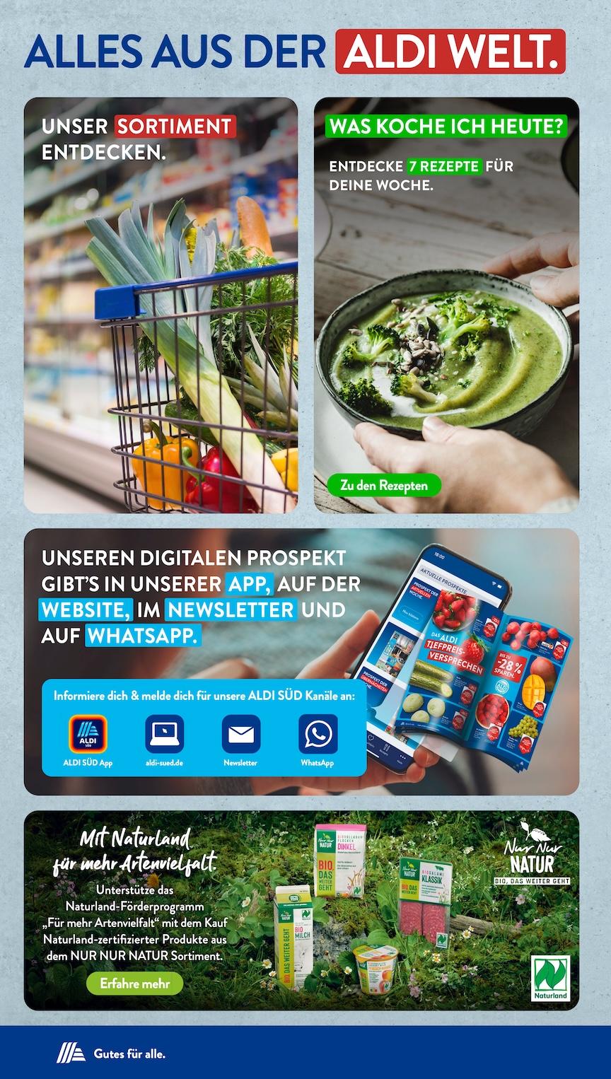 Aldi Aldi Süd Prospekt ab Montag Seite 34