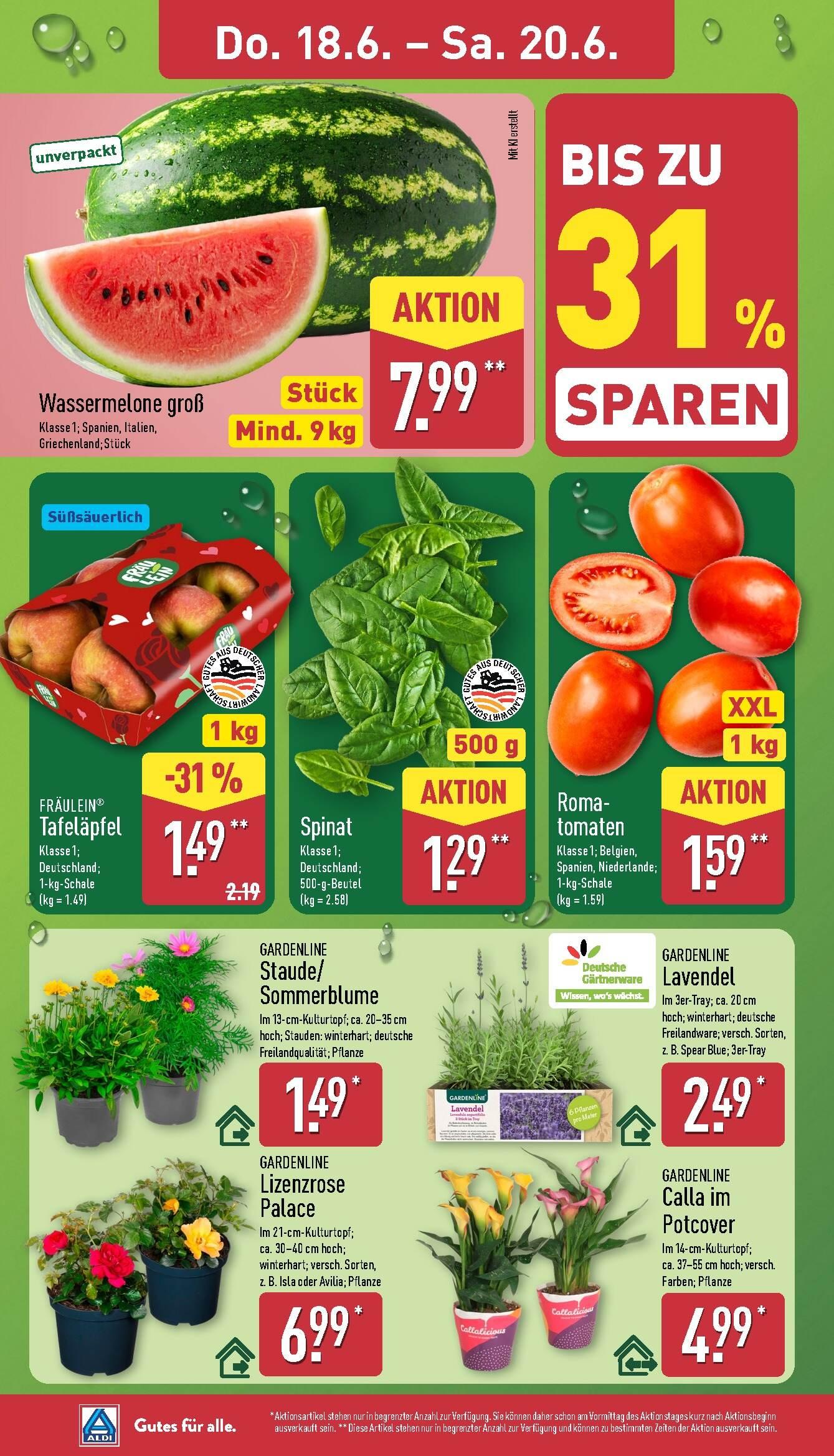 Aldi Aldi Nord Prospekt ab Montag Seite 30