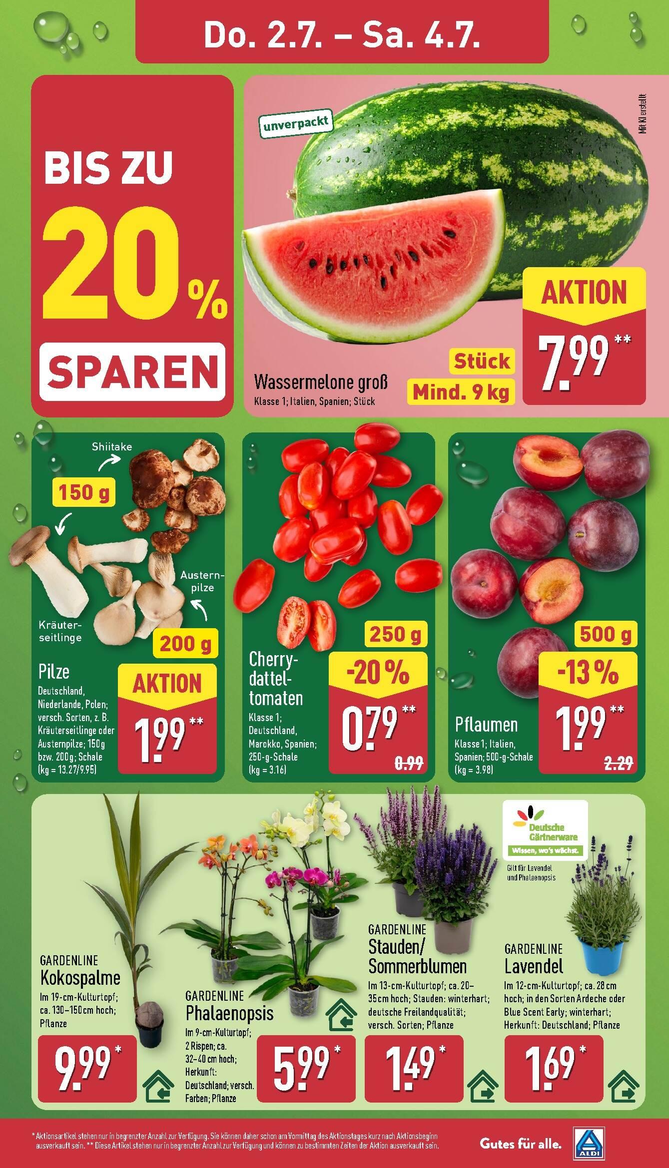 Aldi Aldi Nord Prospekt ab Montag Seite 31