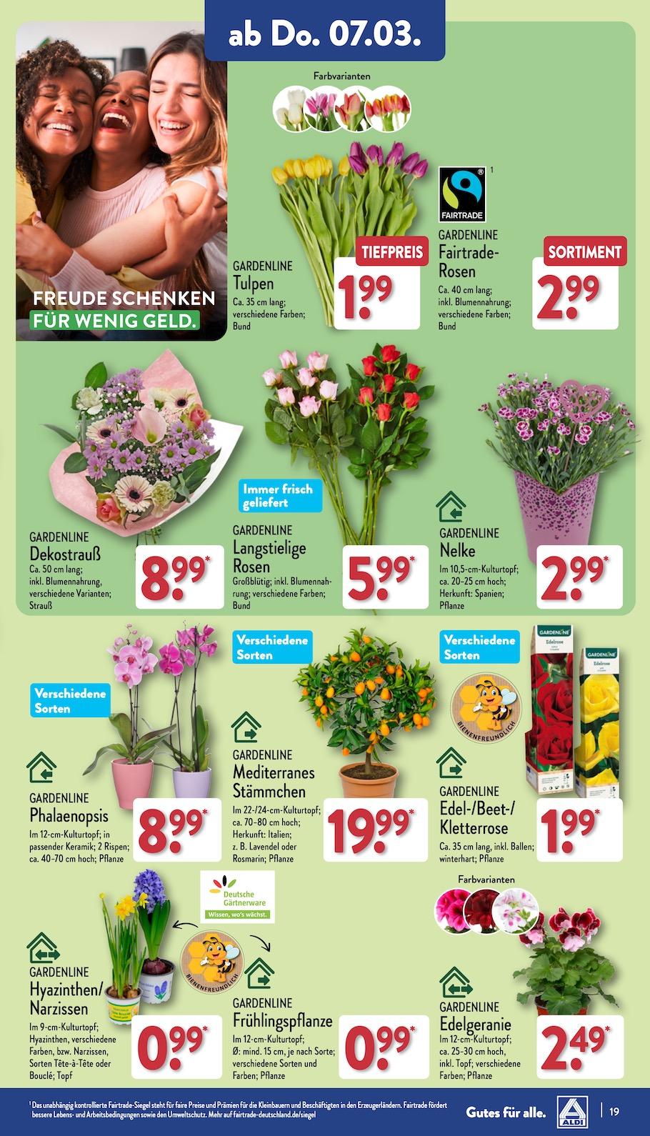 Aldi Aldi Nord Prospekt ab Montag Seite 19
