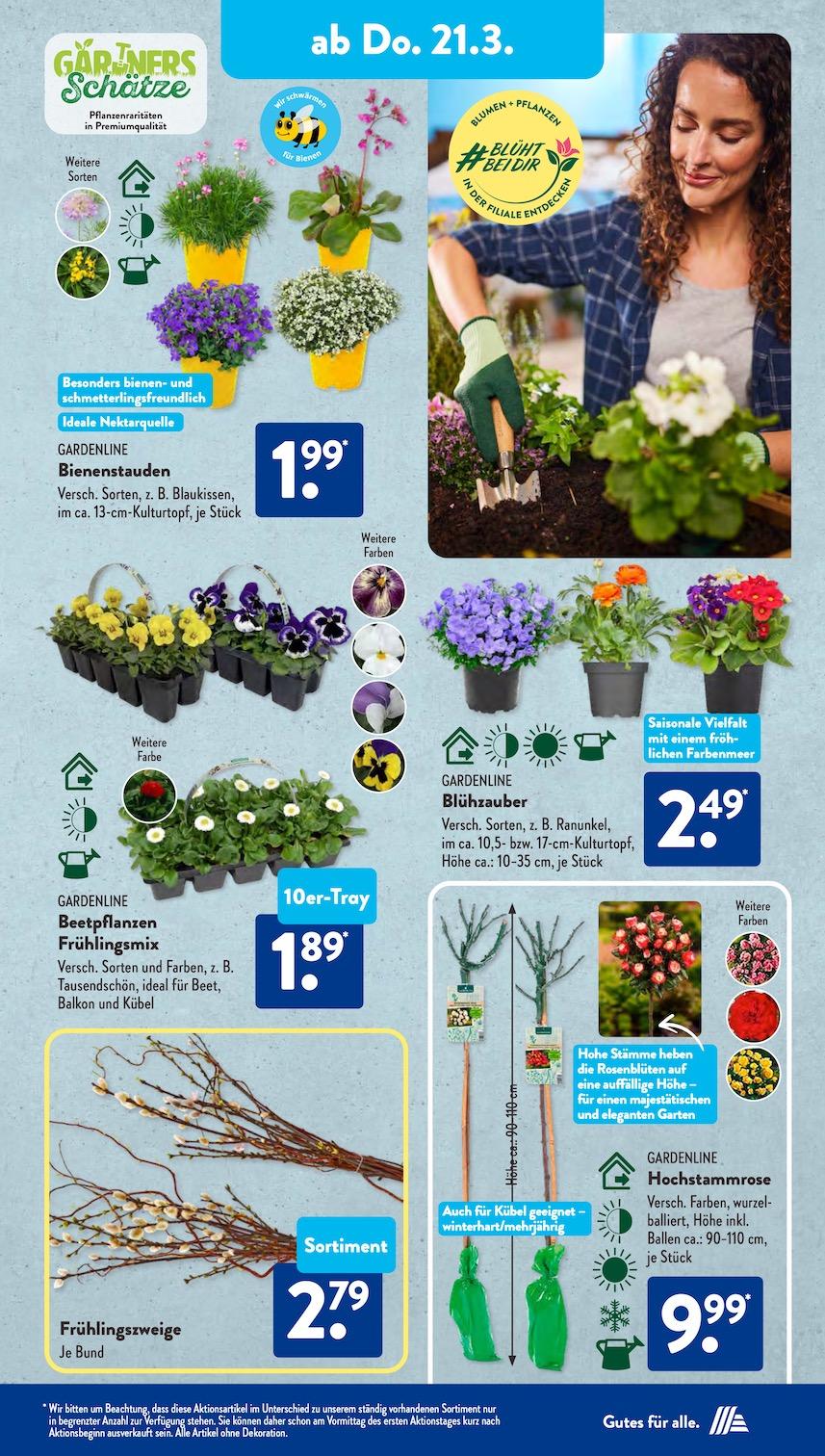 Aldi Aldi Süd Prospekt ab Montag Seite 10