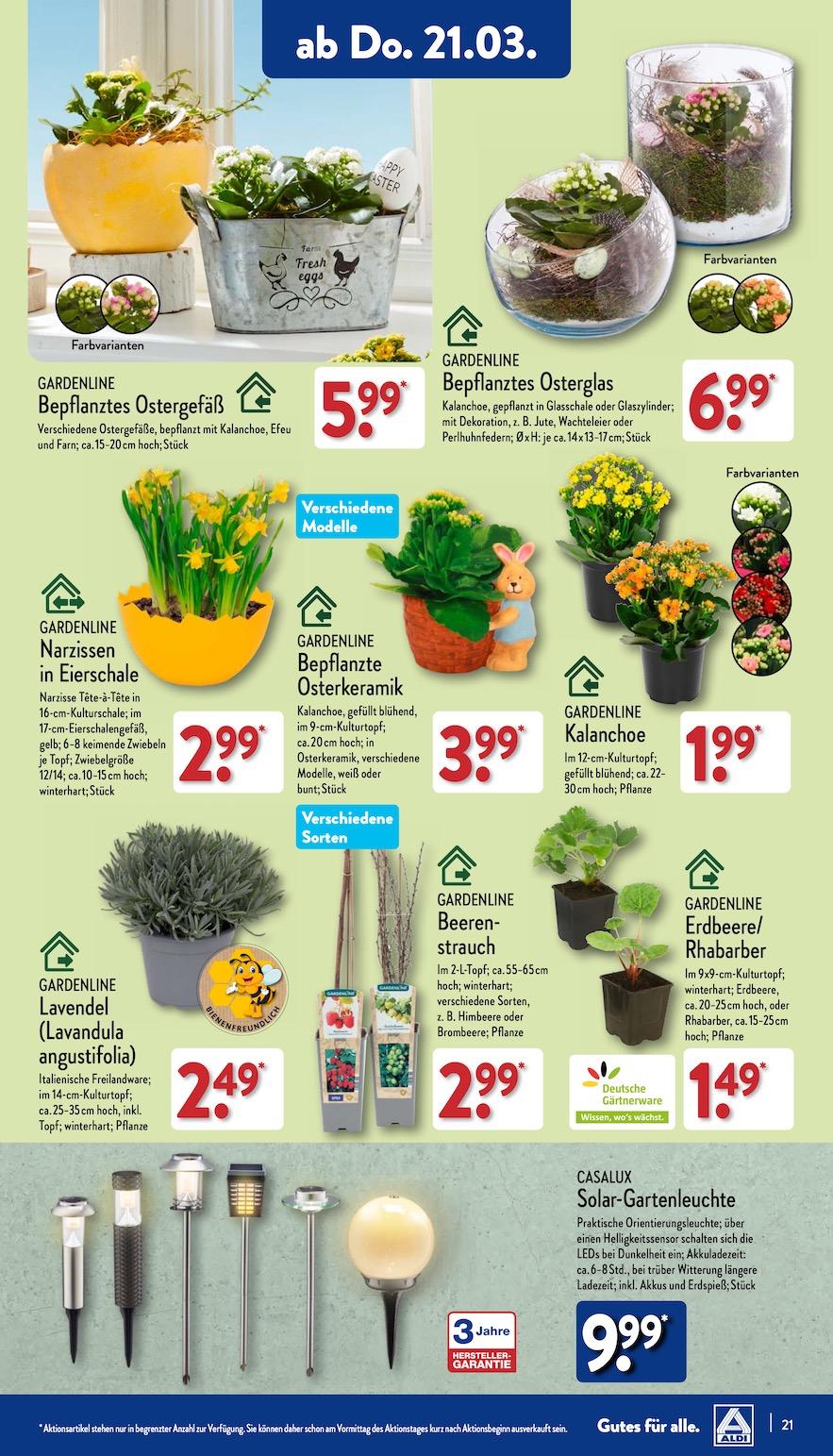 Aldi Aldi Nord Prospekt ab Montag Seite 21