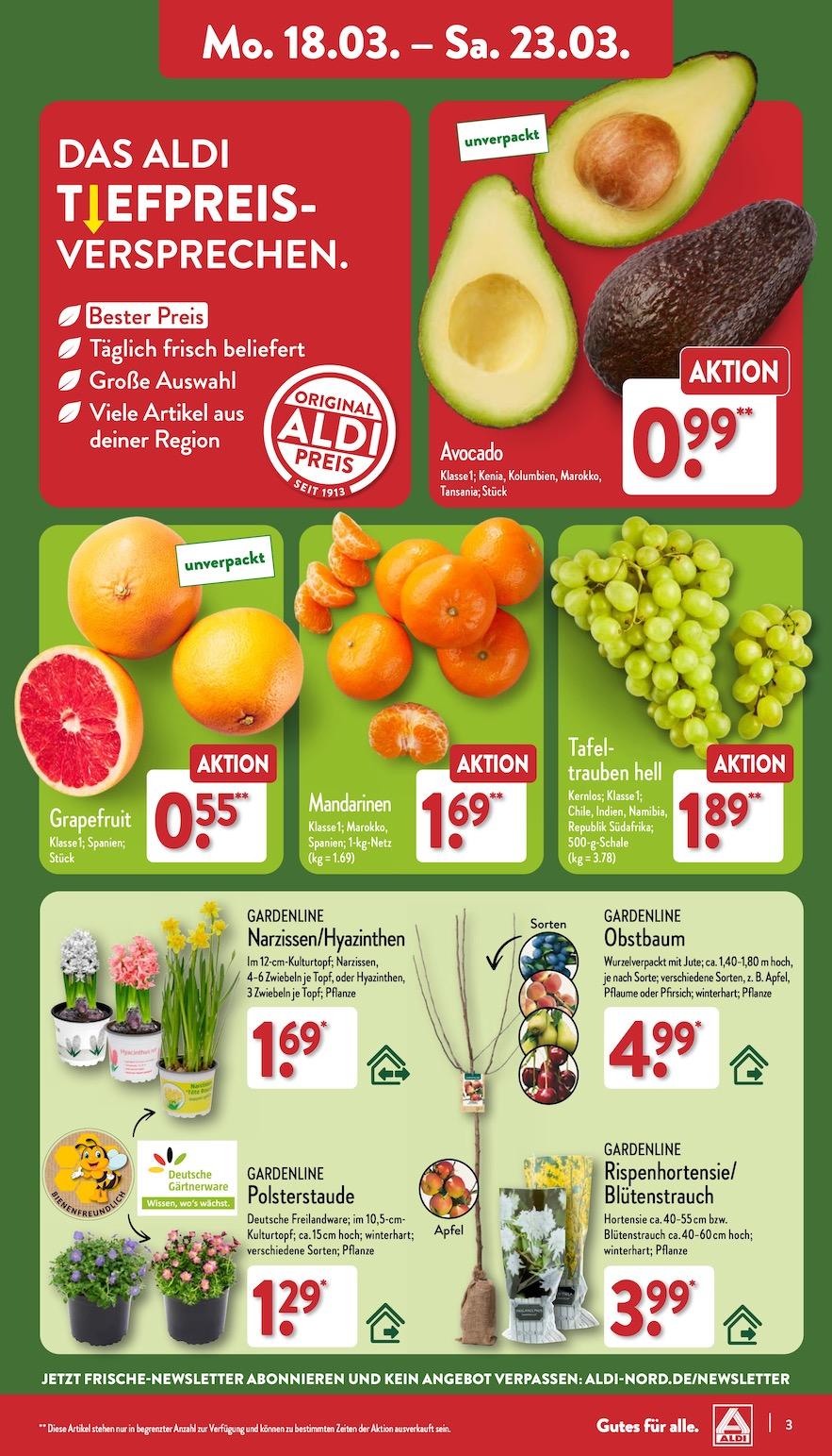 Aldi Aldi Nord Prospekt ab Montag Seite 3