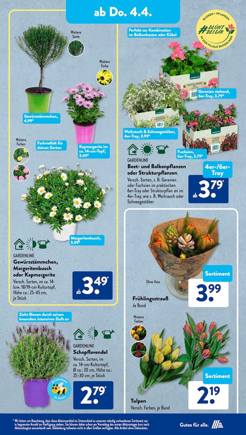 Aldi Aldi Süd Prospekt ab Montag Seite 9