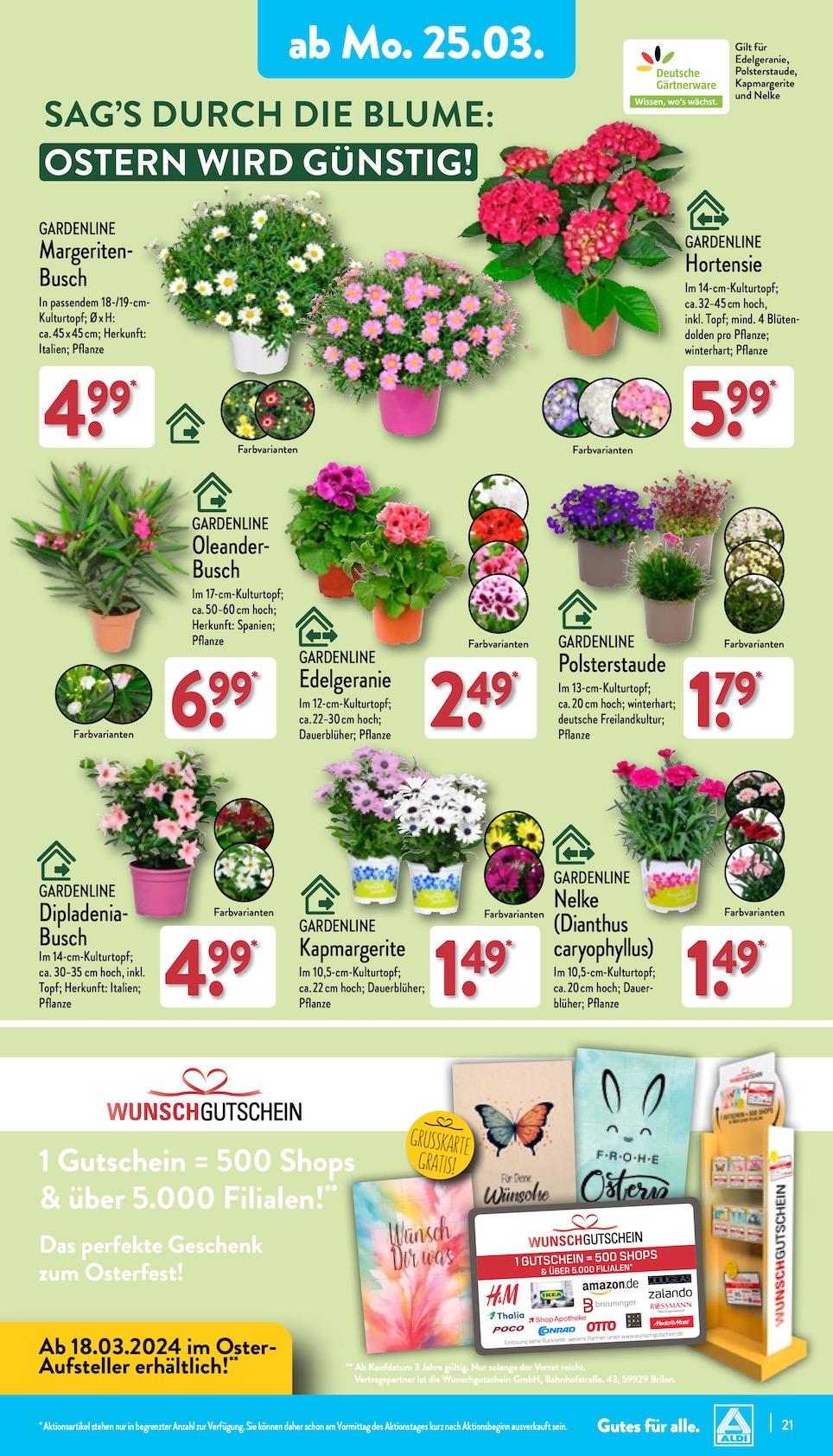 Aldi Aldi Nord Prospekt ab Montag Seite 21