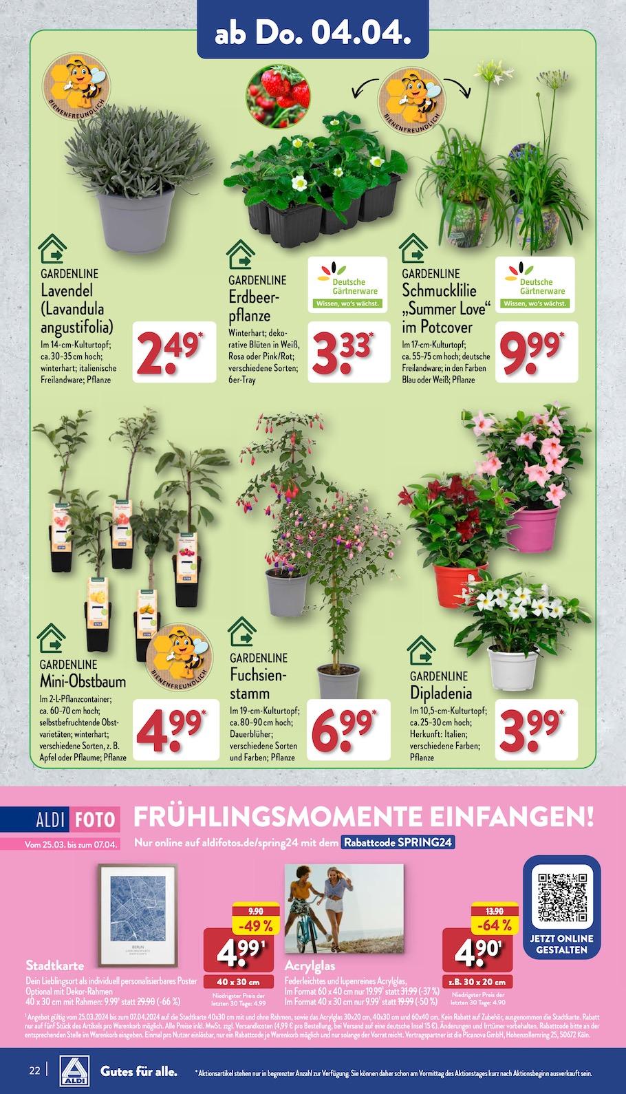 Aldi Aldi Nord Prospekt ab Dienstag Seite 22