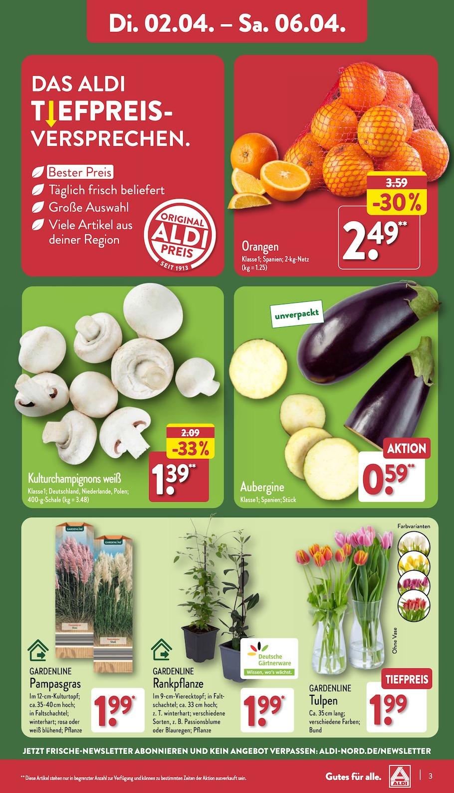 Aldi Aldi Nord Prospekt ab Dienstag Seite 3