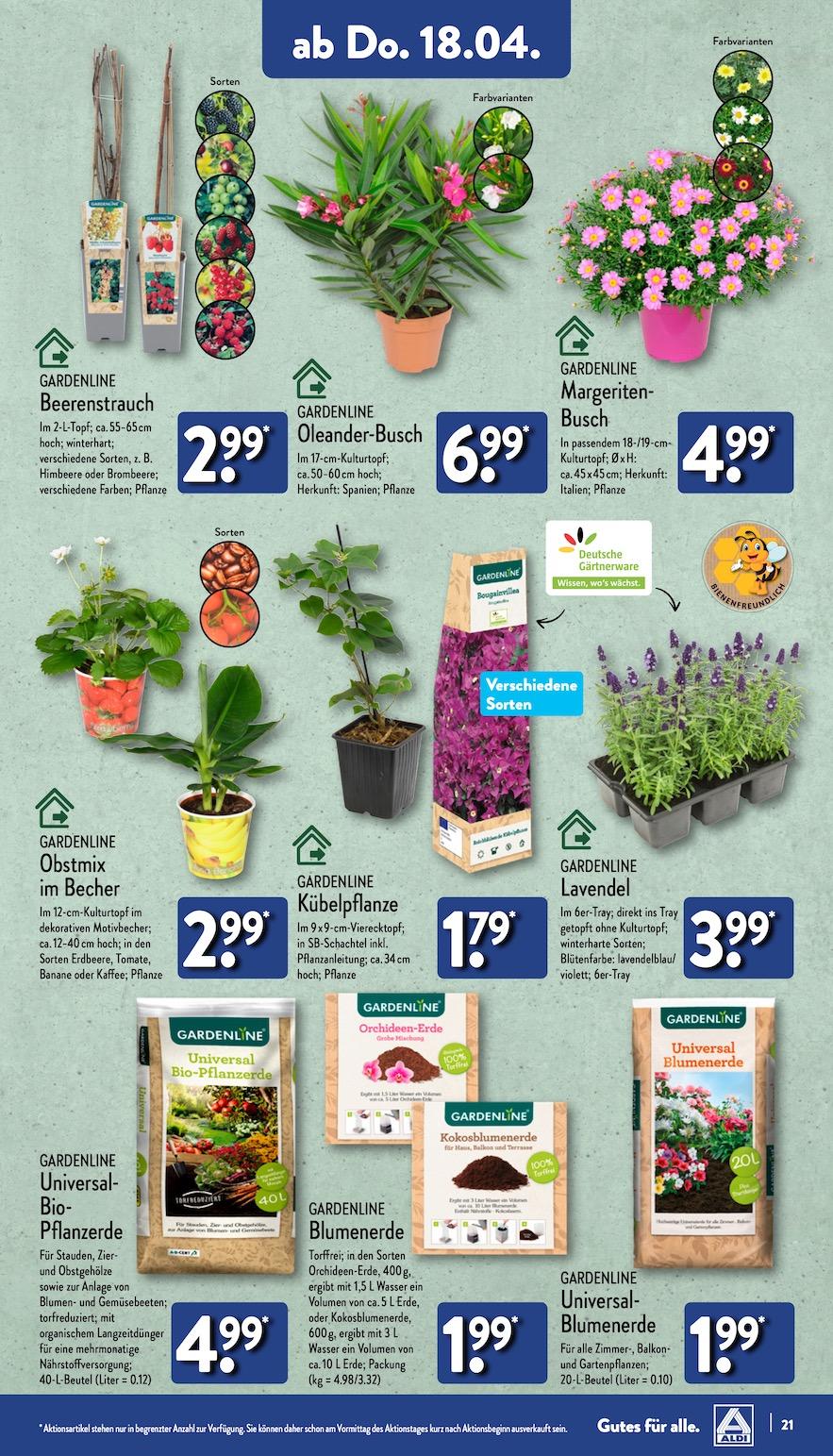 Aldi Aldi Nord Prospekt ab Montag Seite 21