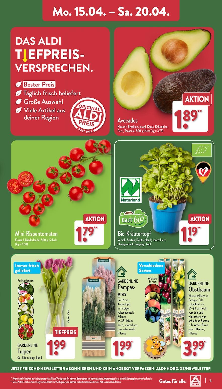 Aldi Aldi Nord Prospekt ab Montag Seite 3