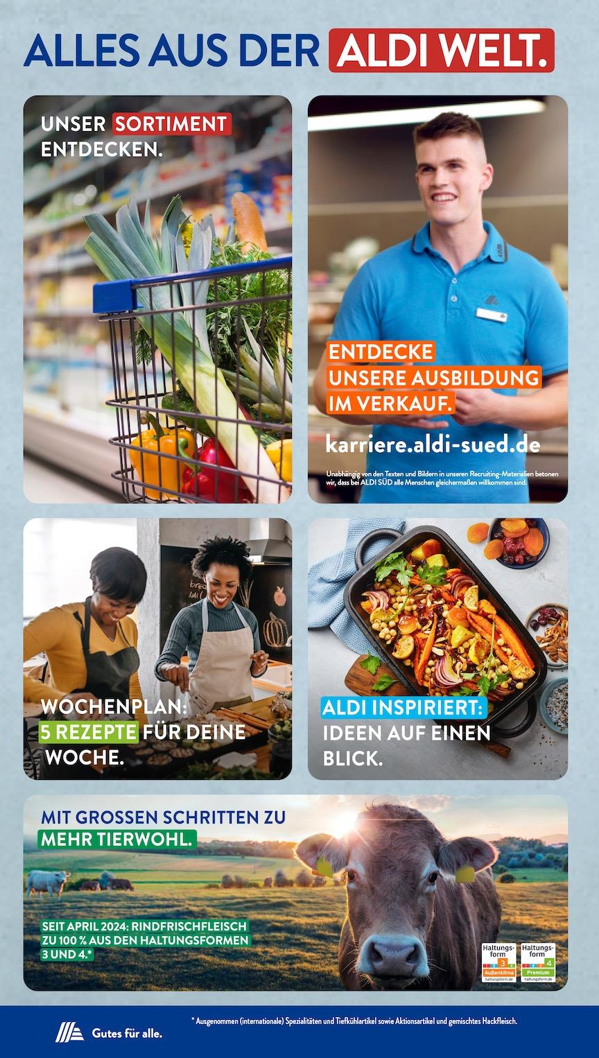 Aldi Aldi Süd Prospekt ab Montag Seite 37