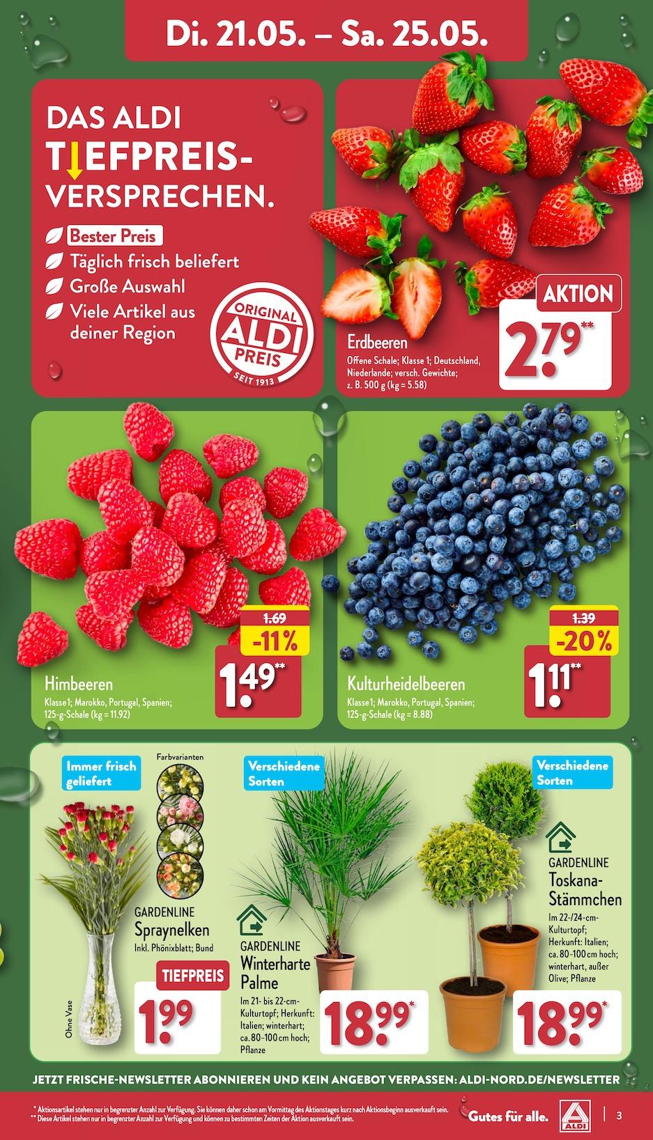 Aldi Aldi Nord Prospekt ab Dienstag Seite 3