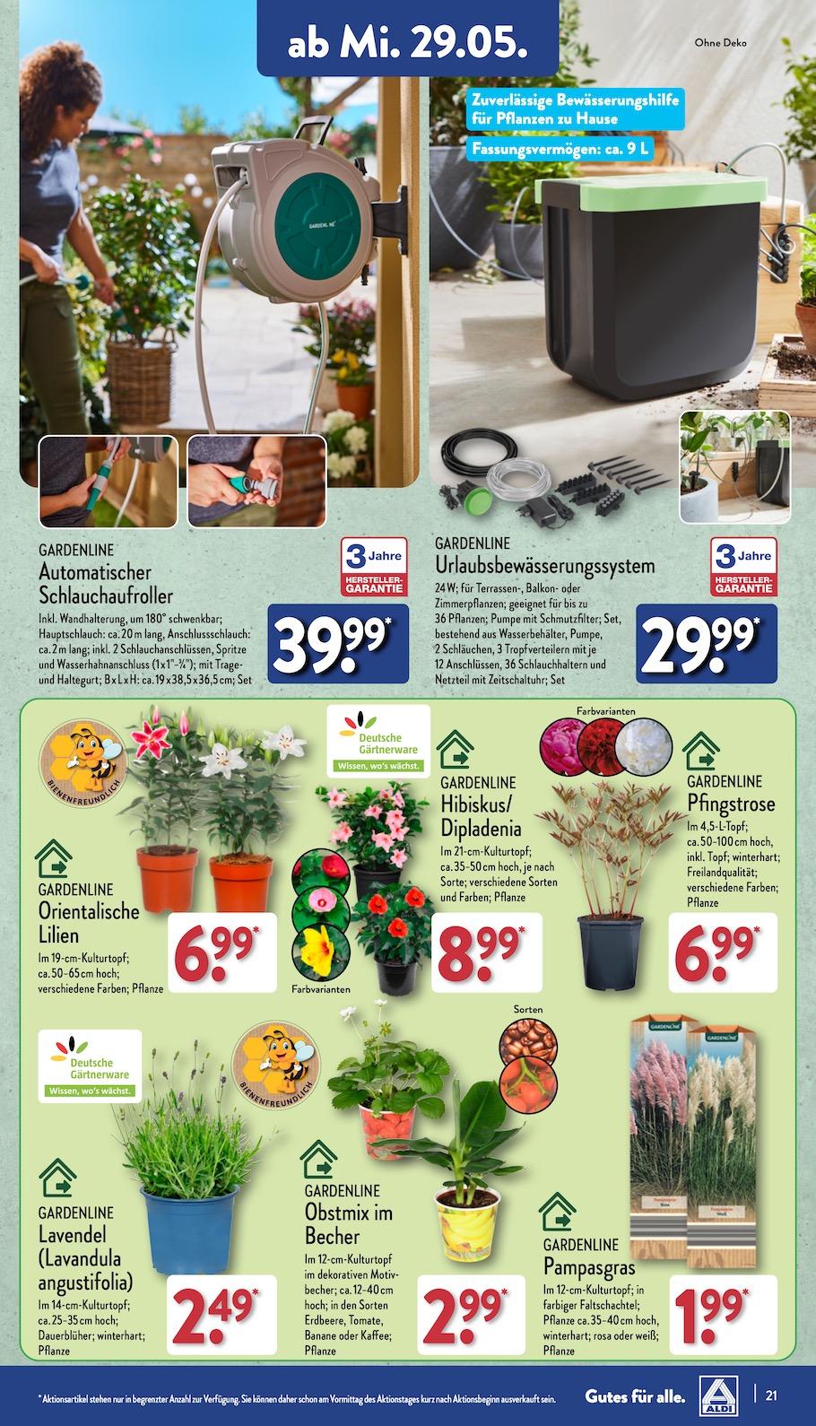 Aldi Aldi Nord Prospekt ab Montag Seite 21