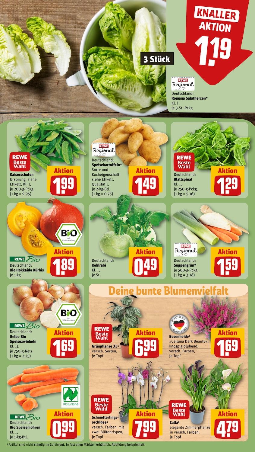 Rewe Aktueller Prospekt ab Montag Seite 7